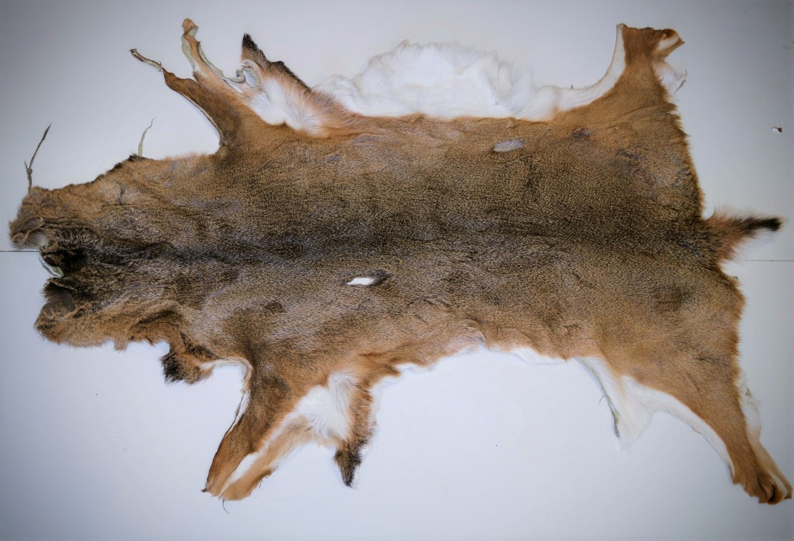 Hair On Deer Hide - Centralia Fur & Hide