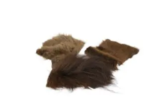 Bison Trim