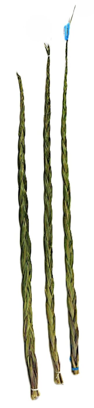 Sweetgrass braids