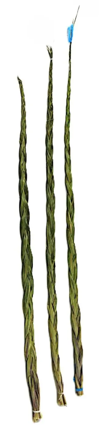 Sweetgrass braids