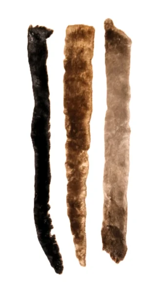 Beaver Strips