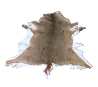 Hair On Deer Hide