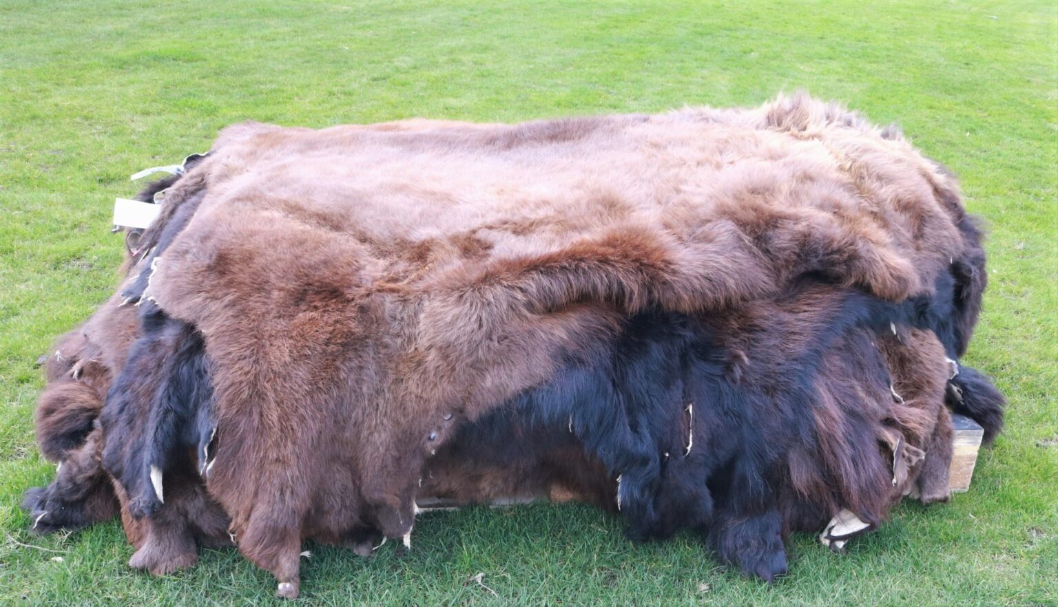 Buffalo Robe 1 Centralia Fur & Hide
