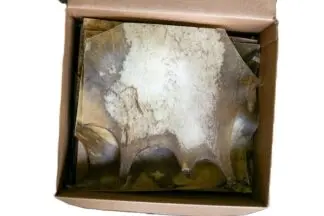 Bear rawhide scrap boxes