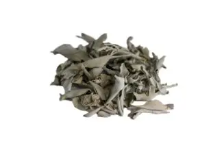 California white sage