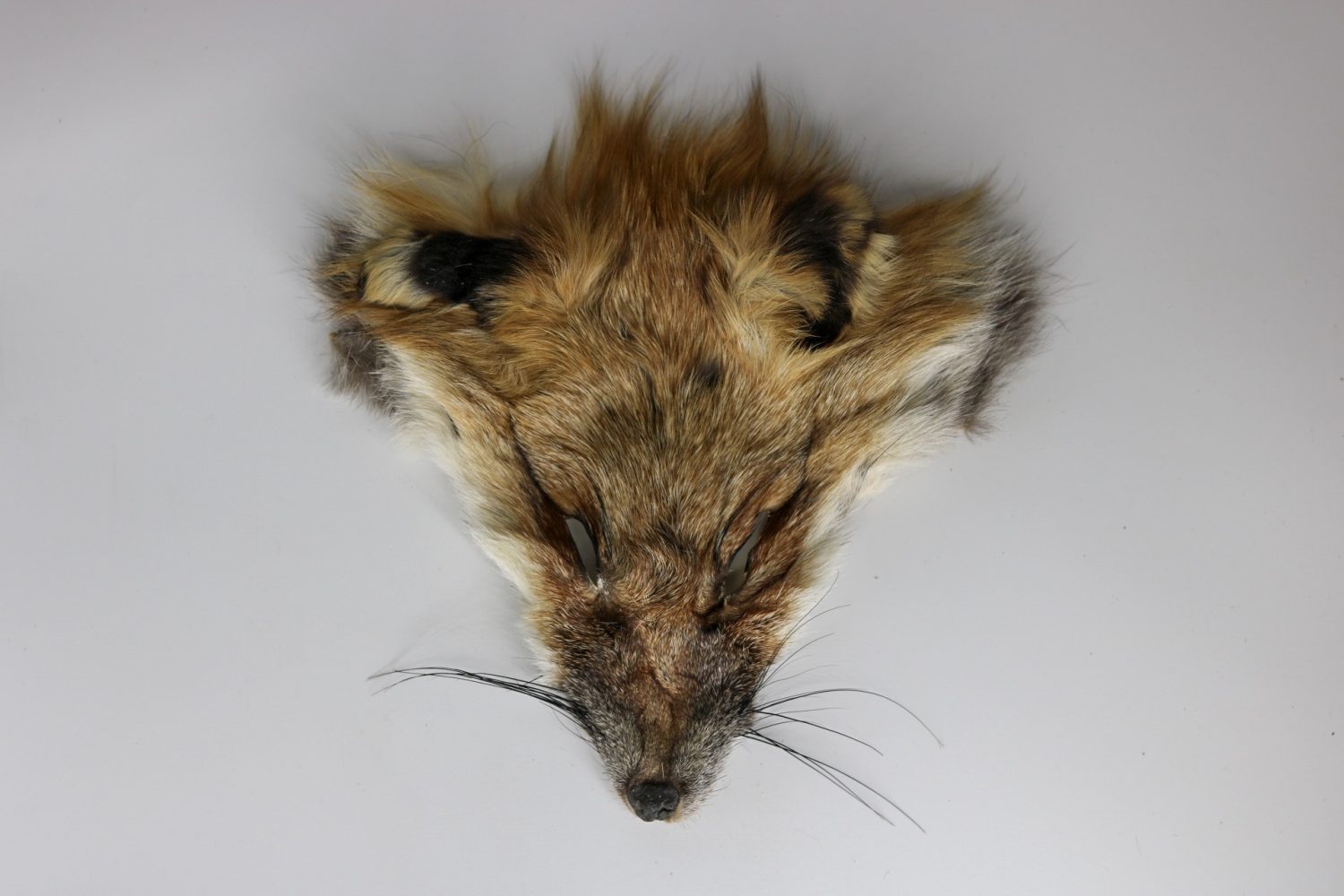 Red Fox Face - Image 2