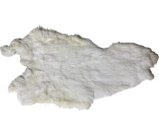 White Rabbit #1