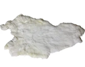 White Rabbit #1