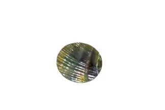 1-1/2" Abalone disc no hole