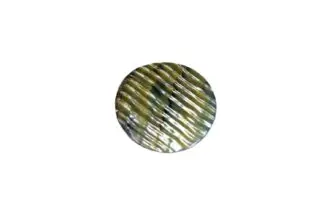2" Abalone disc no hole