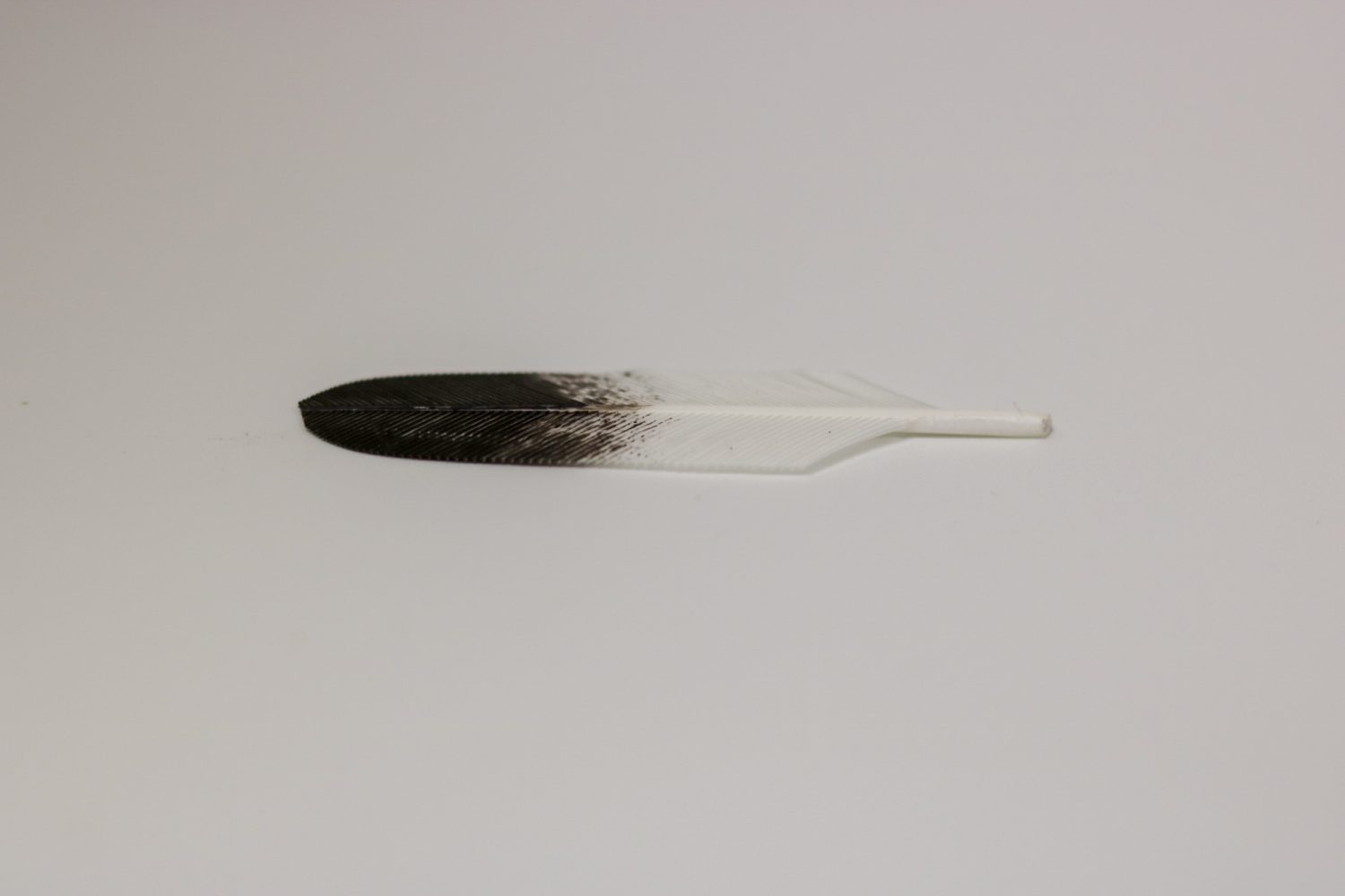 Feather - Imitation Golden Eagle Semi Mature - Tail