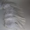 5-6 White light bright hackles