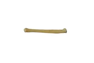 Bobcat foot bones