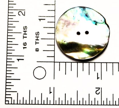 1 &1/4 in Abalone disc 2 hole