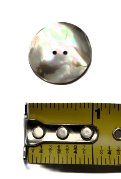 1" Abalone disc 2 hole