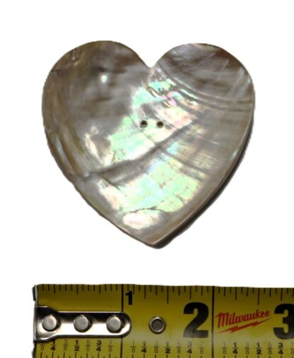 2 & 1/2 in Abalone heart 2 hole