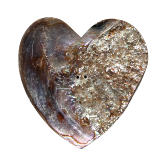 2-1/2" Abalone Heart 2-Hole