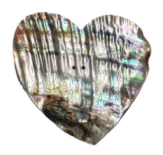 2-1/2" Abalone heart 2-hole