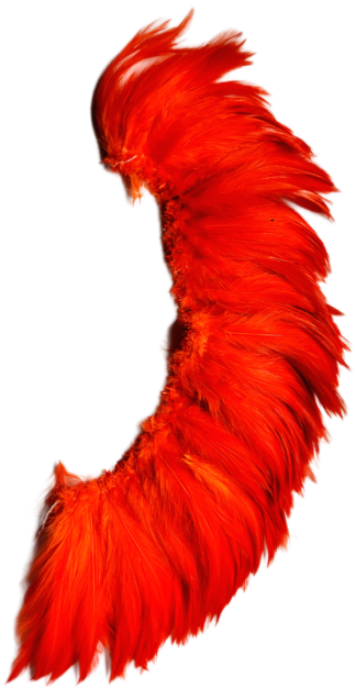 5-6" Orange light bright hackles