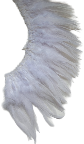 5-6 White light bright hackles