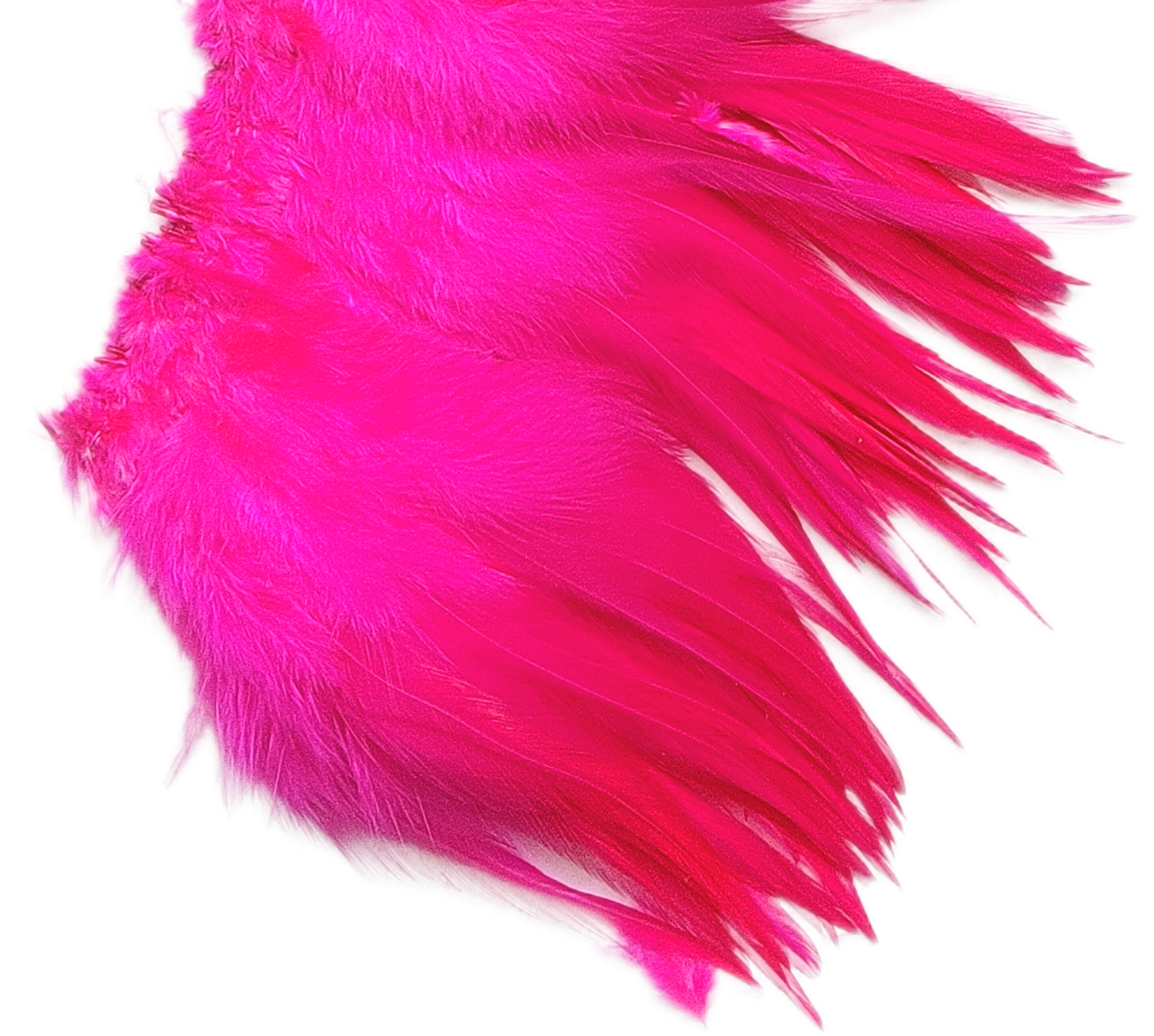 5-6" Hot pink light bright hackles - Image 2