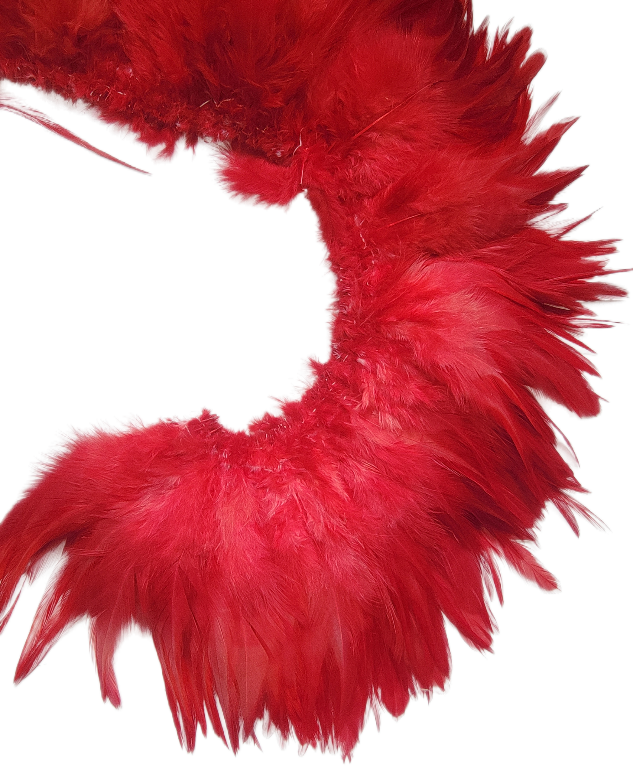 5-6" Red light bright hackles