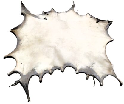 Deer Rawhide (cc+)