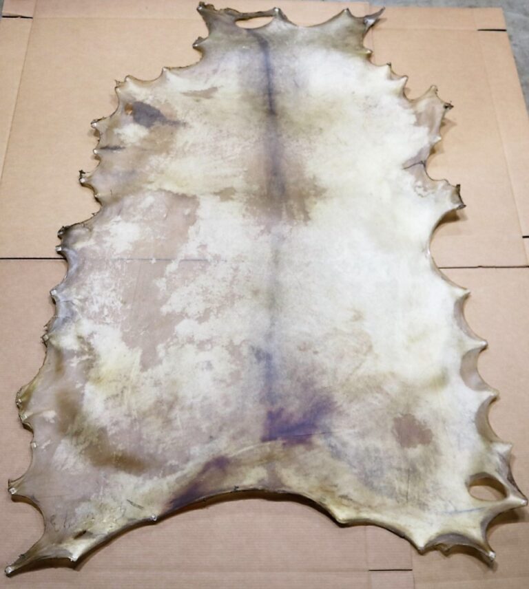 Wholesale Rawhide & Native Rawhide Drums Kits Centralia Fur & Hide