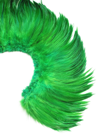 5-6" Green light bright hackles