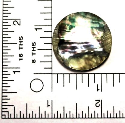 1" Abalone disc no hole