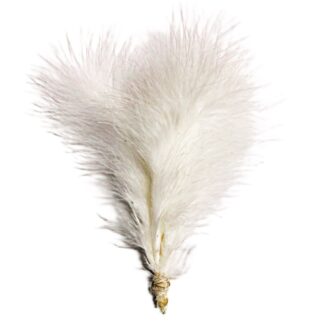 White fluff feather