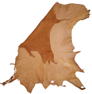 Acorn Deer Leather