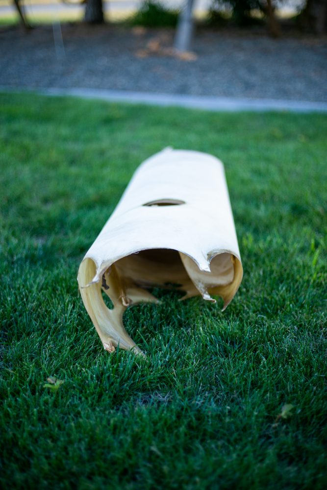 Deer Rawhide For Sale Centralia Fur & Hide