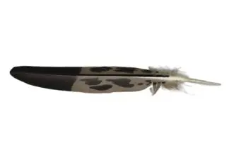Mature golden eagle feather (imitation)