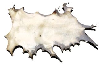 Red Stag Deer Rawhide