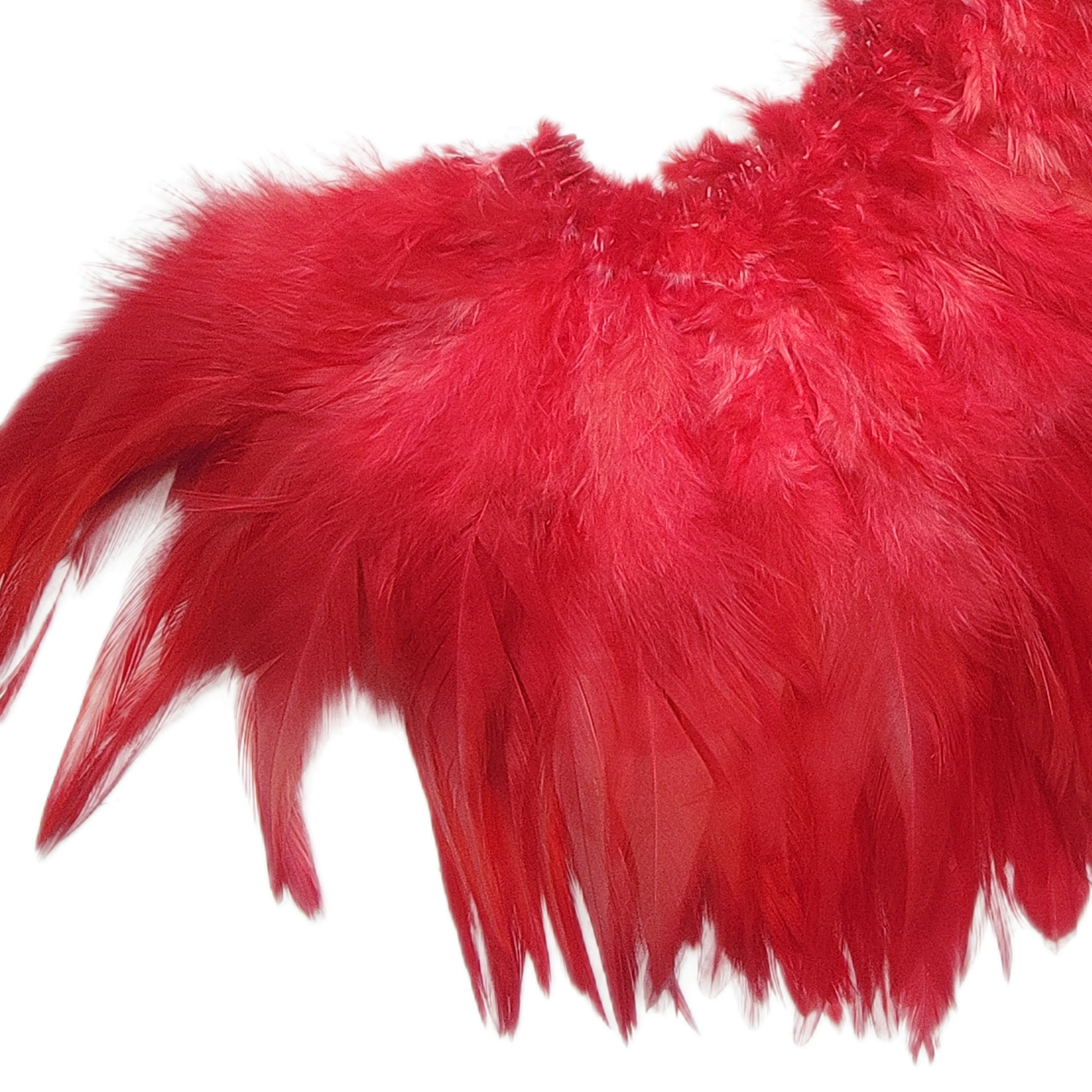 5-6" Red light bright hackles - Image 2