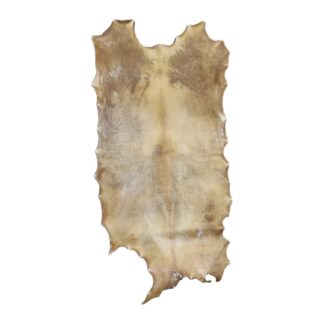 Bleached Bison Rawhide (Whole) - Hand Drum Thickness