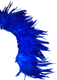 5-6" Royal blue light brighthackles sold per oz