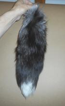 15" plus from tip to tip, 3 slftail15 Tanned Silver Fox Tail with Snow Tips 