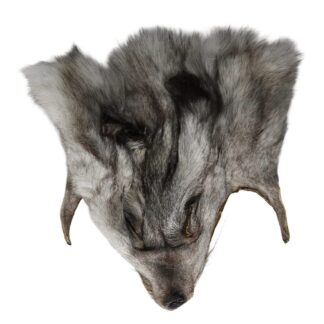 Silver Fox Face #1