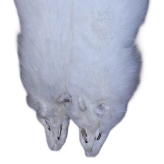 Artic Fox Skin w/o Feet