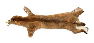 Bobcat Hide