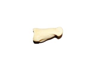 Elk Ankle Bone
