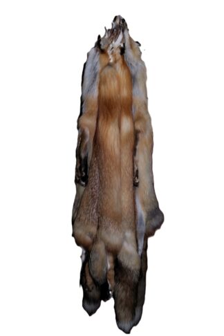 Red fox skin tanned
