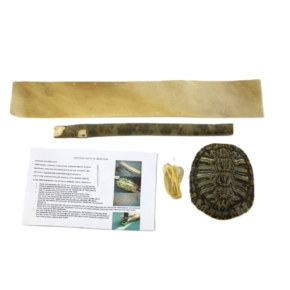 Turtle shell rattle kit