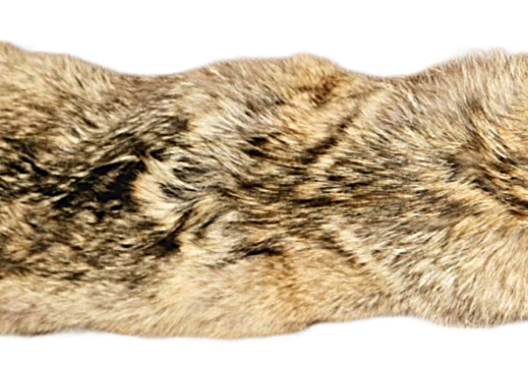 #1 Coyote skin - Image 2