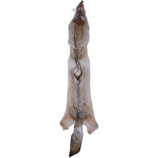 Coyote Skin - Special Select