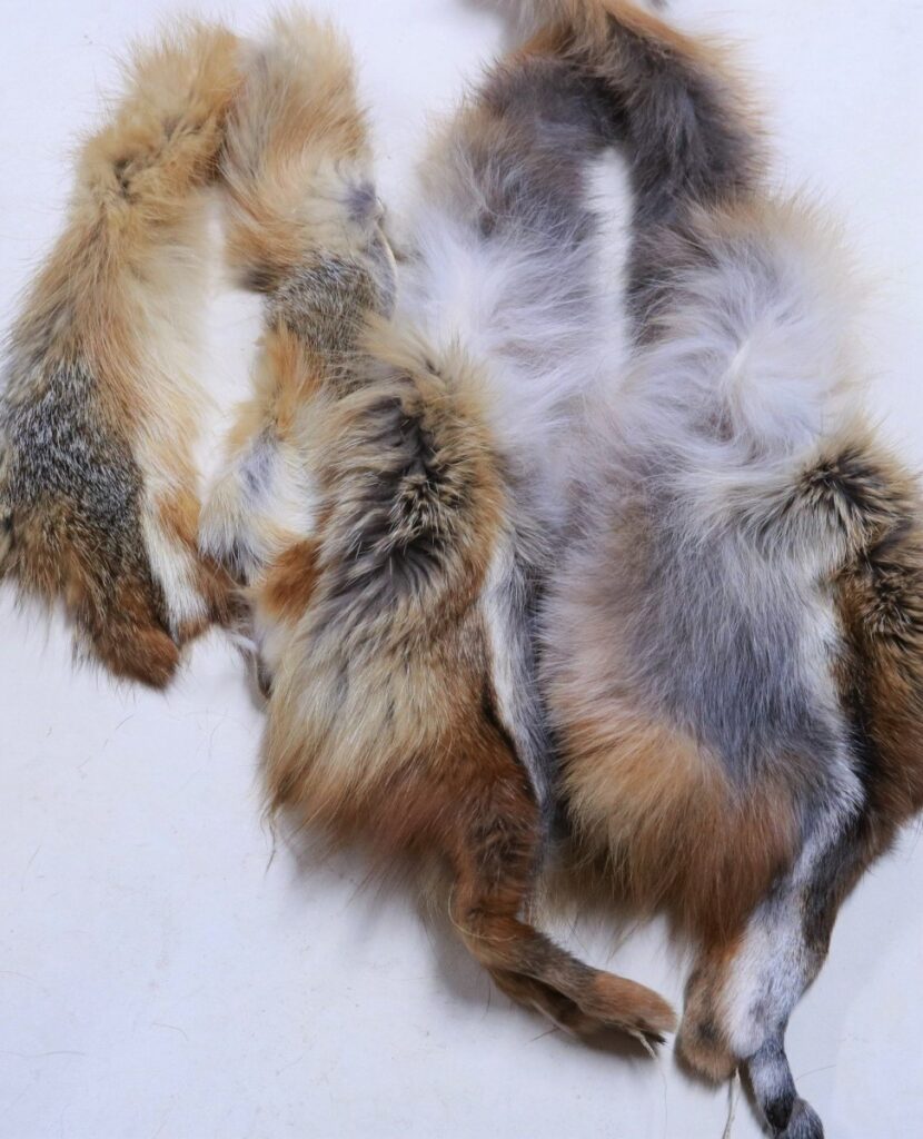 Fox Strips - Centralia Fur & Hide