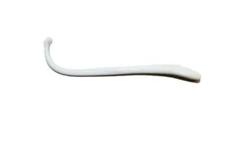 Raccoon Penis Bone