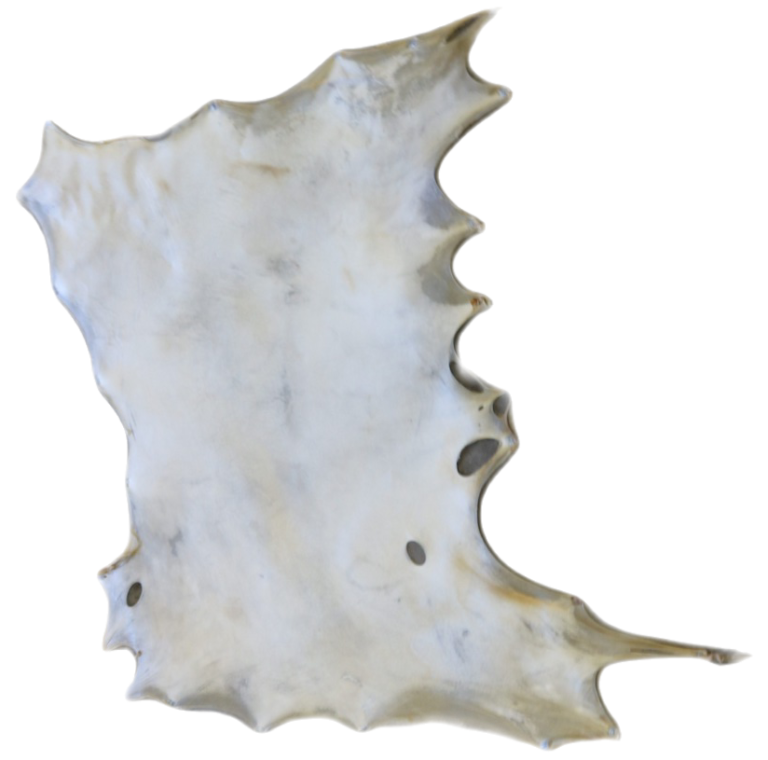 Deer Rawhide (cc+) Bleached Centralia Fur & Hide